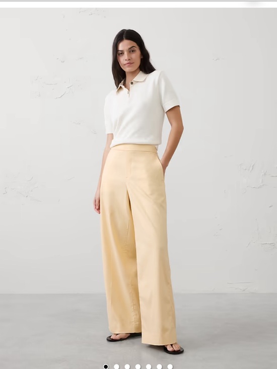 Banana Republic Pants - BANANA REPUBLIC WIDE-LEG HIGH-RISE LINEN-BLEND PANT XS